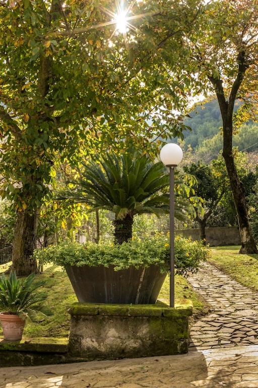 Apartament Casale Le Noci Vico Equense Zewnętrze zdjęcie