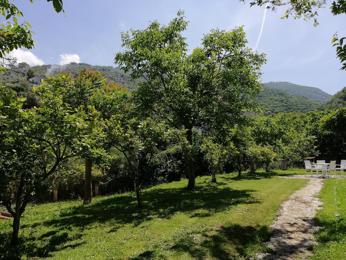 Apartament Casale Le Noci Vico Equense Zewnętrze zdjęcie