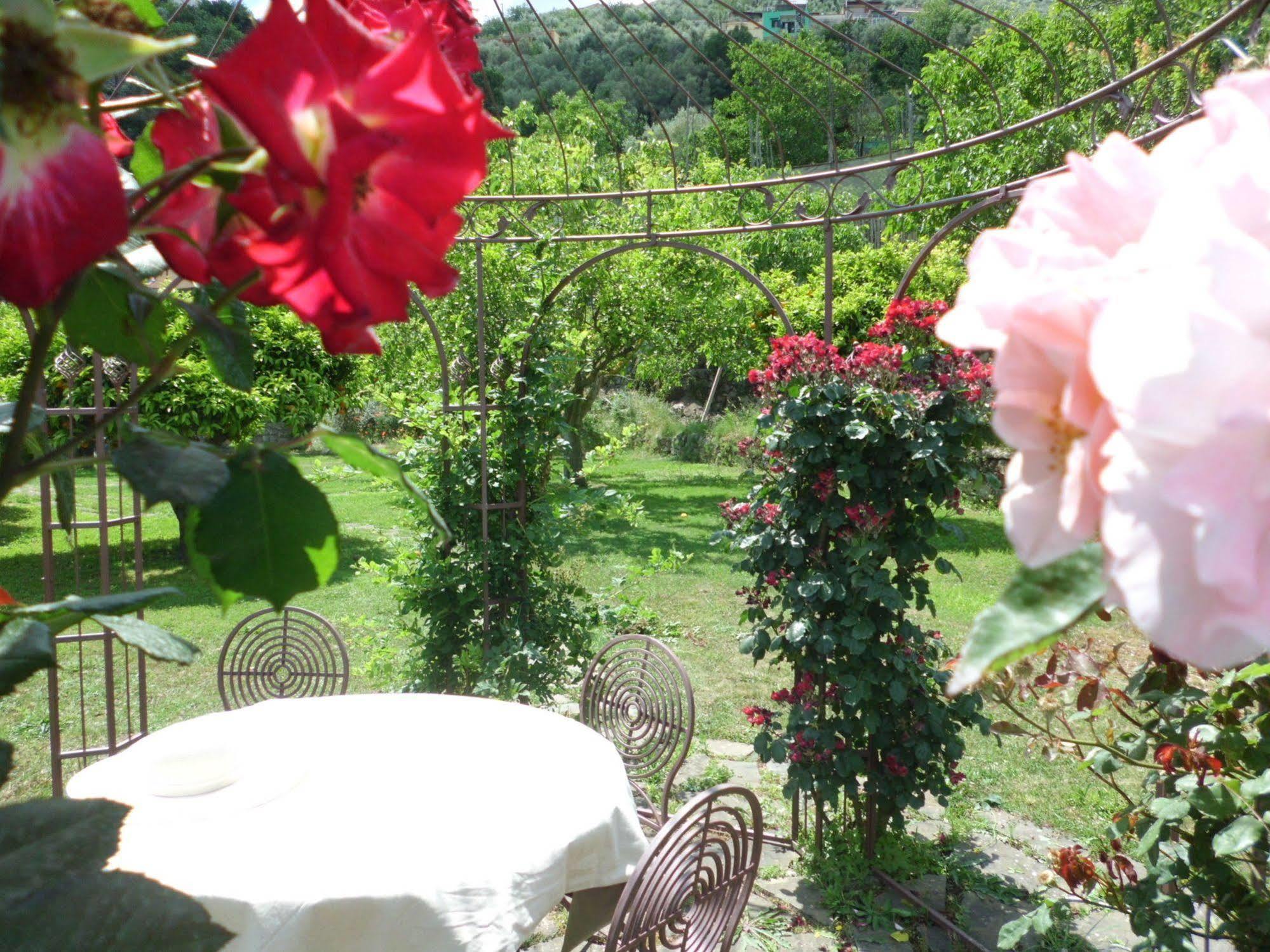 Apartament Casale Le Noci Vico Equense Zewnętrze zdjęcie